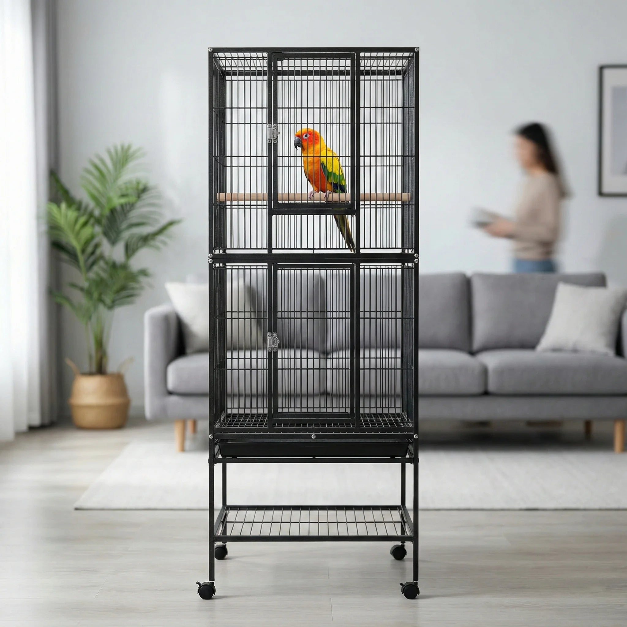 Volière avec séparation intérieur noir sur roulettes accueillant deux oiseaux dans deux espaces superposés